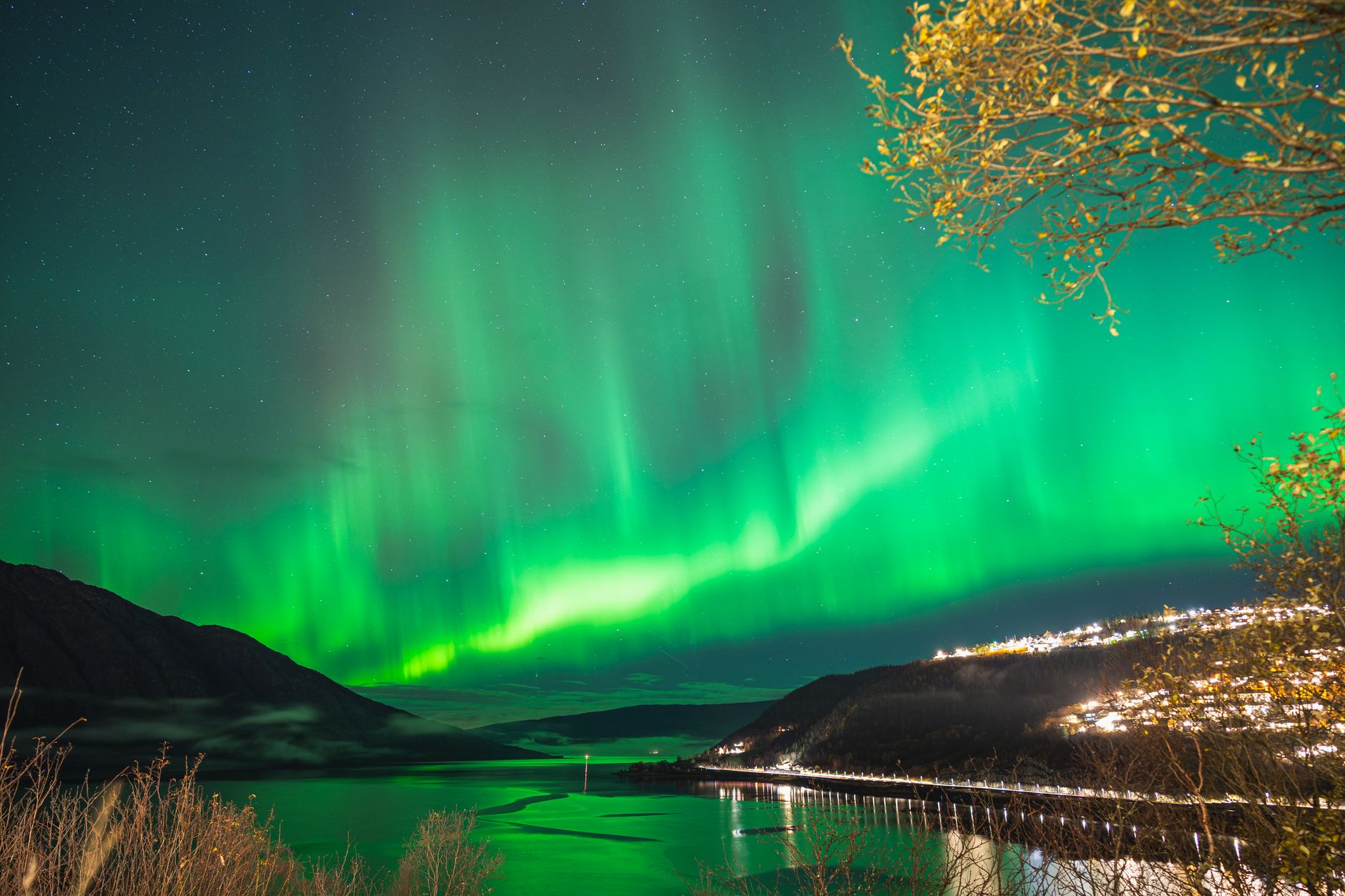 Nordic Fjords